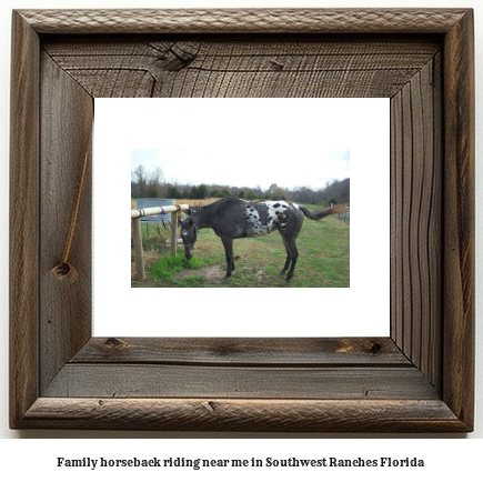 family horseback riding near me in Southwest Ranches, Florida